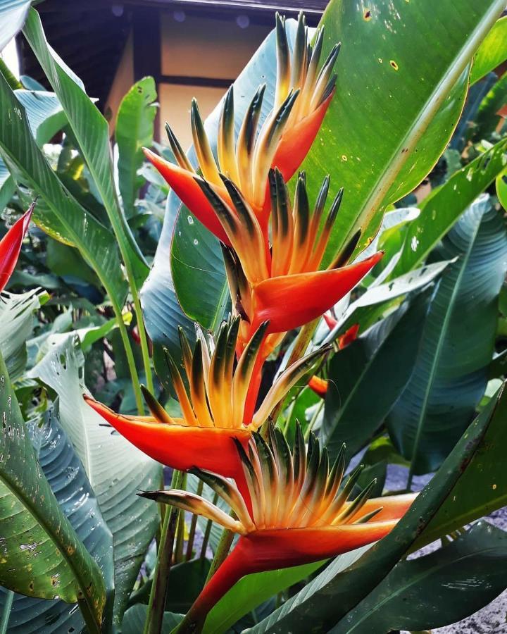 Casa Valentine Pousada Itacaré المظهر الخارجي الصورة