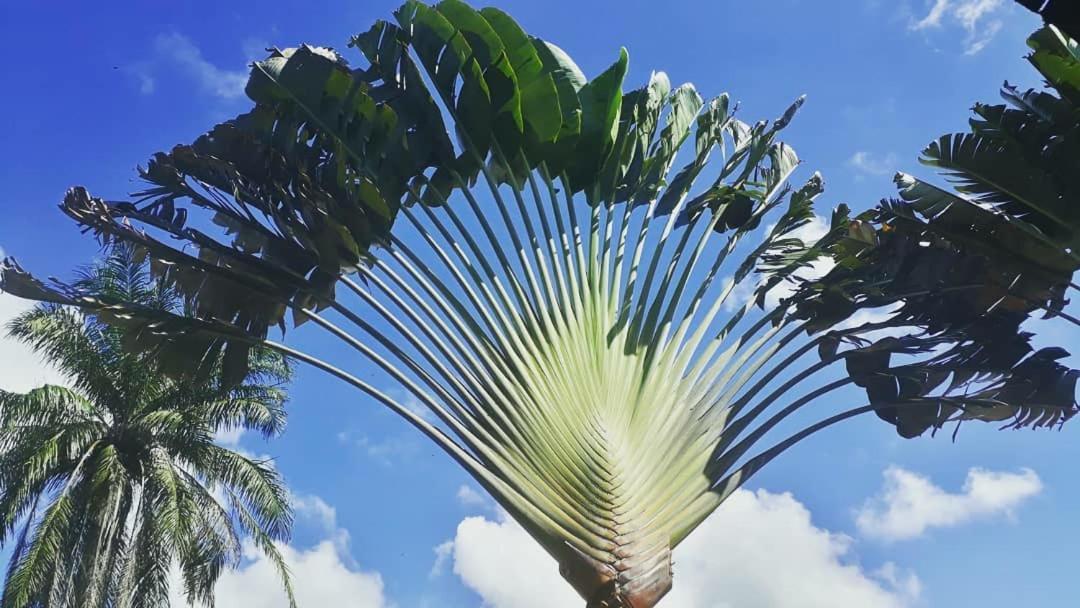 Casa Valentine Pousada Itacaré المظهر الخارجي الصورة